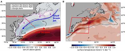 Marine Heatwaves and Their Depth Structures on the Northeast U.S. Continental Shelf